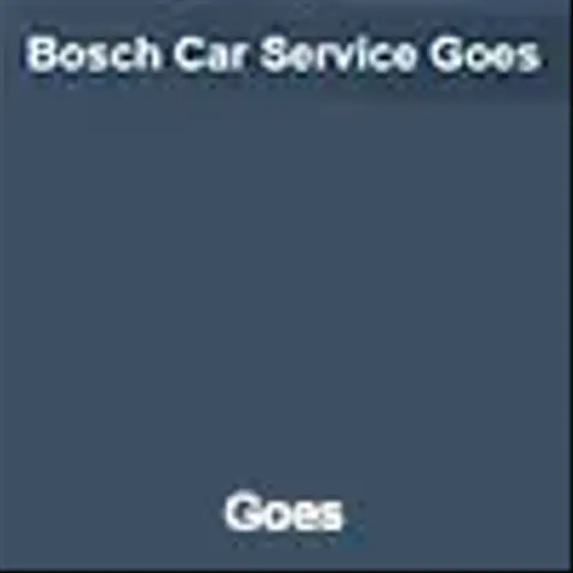 Bosch Car Service Goes