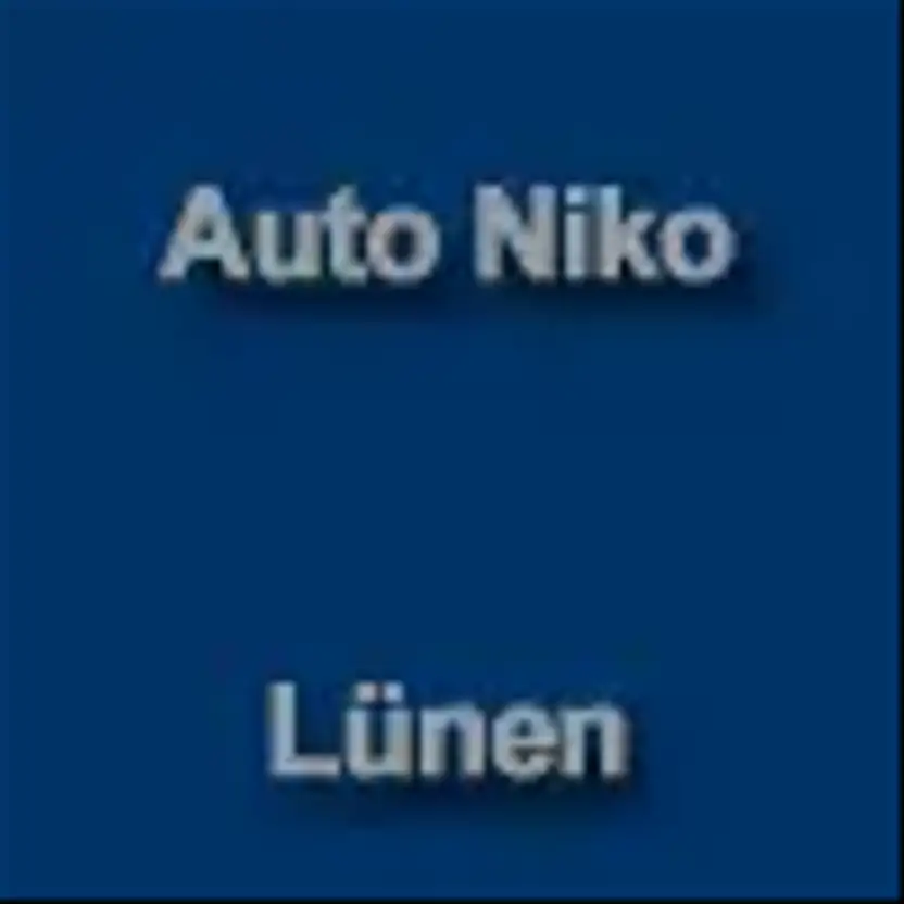 Auto Niko