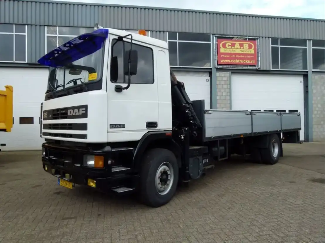 DAF 95.350 - 4x2 - Crane Pesci